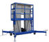 Platform Height Max 10m Double Mast Aluminum Vertical Lift Loading Capacity 200kg with Extension Platform